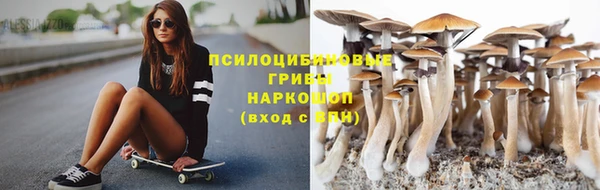 героин Няндома