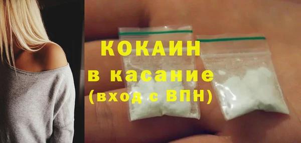 стафф Новодвинск