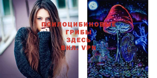 героин Няндома