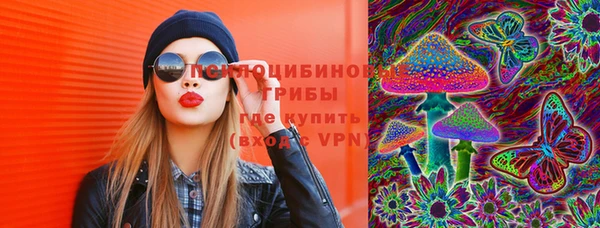 соль ск Болотное