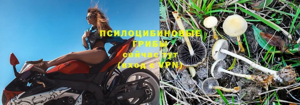 героин Няндома