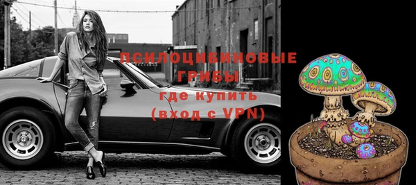 индика Болохово