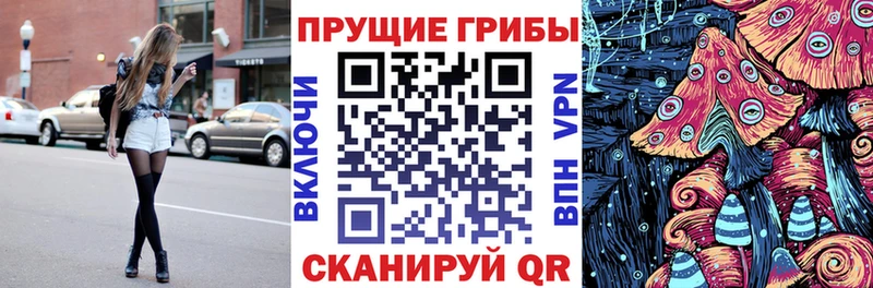 Псилоцибиновые грибы MAGIC MUSHROOMS  дарнет шоп  Талица 